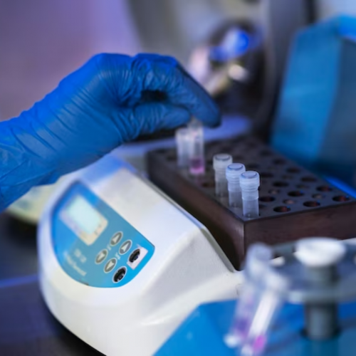 A importância dos bioreatores na produção de alimentos e medicamentos