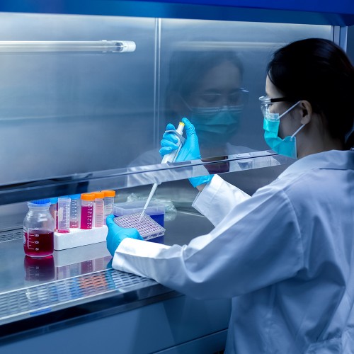 A Import&acirc;ncia dos Testes de Diagn&oacute;stico Molecular na Detec&ccedil;&atilde;o de Doen&ccedil;as