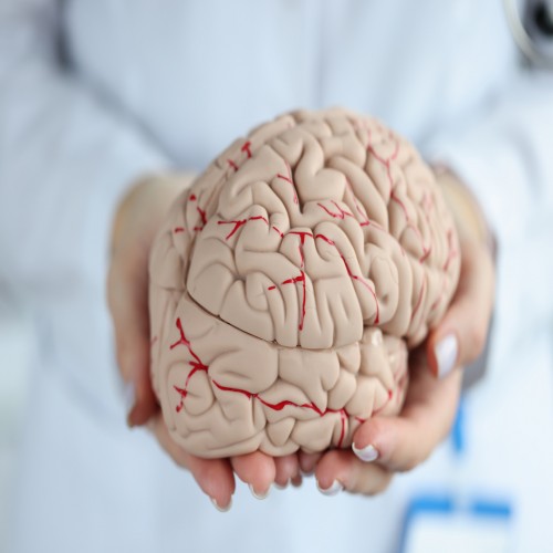 Doen&ccedil;as neurodegenerativas: conhe&ccedil;a as inova&ccedil;&otilde;es no tratamento 