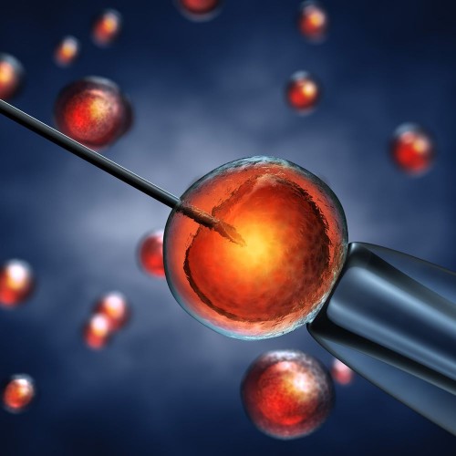 Plásticos essenciais para fertilização in vitro: importância e benefícios