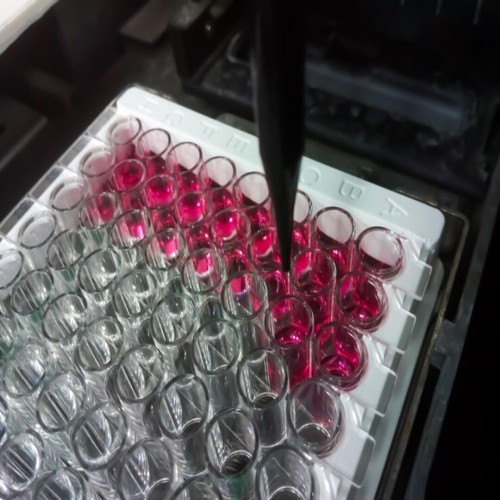 Explorando os Desafios e Vantagens da Técnica de ELISA: Uma Visão Abrangente