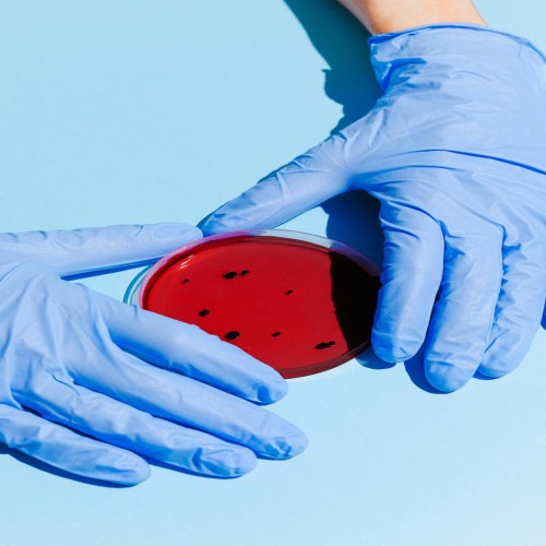 Meio de Cultura para Microrganismos: Meios Seletivos e Diferenciais, Equipamentos e Utensílios em um Laboratório de Microbiologia