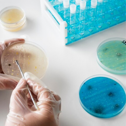 O Impacto do Avanço das Pesquisas em Microbiologia na Saúde