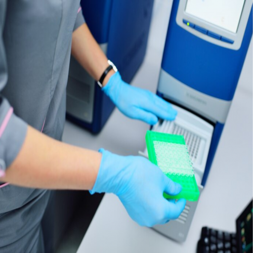 Contaminação em Reações de PCR: Um Desafio a ser vencido!