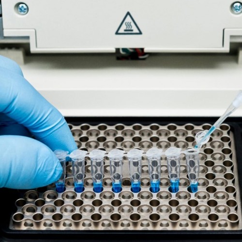 Ampliação da Aplicação da PCR em Medicina Forense: Avanços na Identificação e Análise Genética