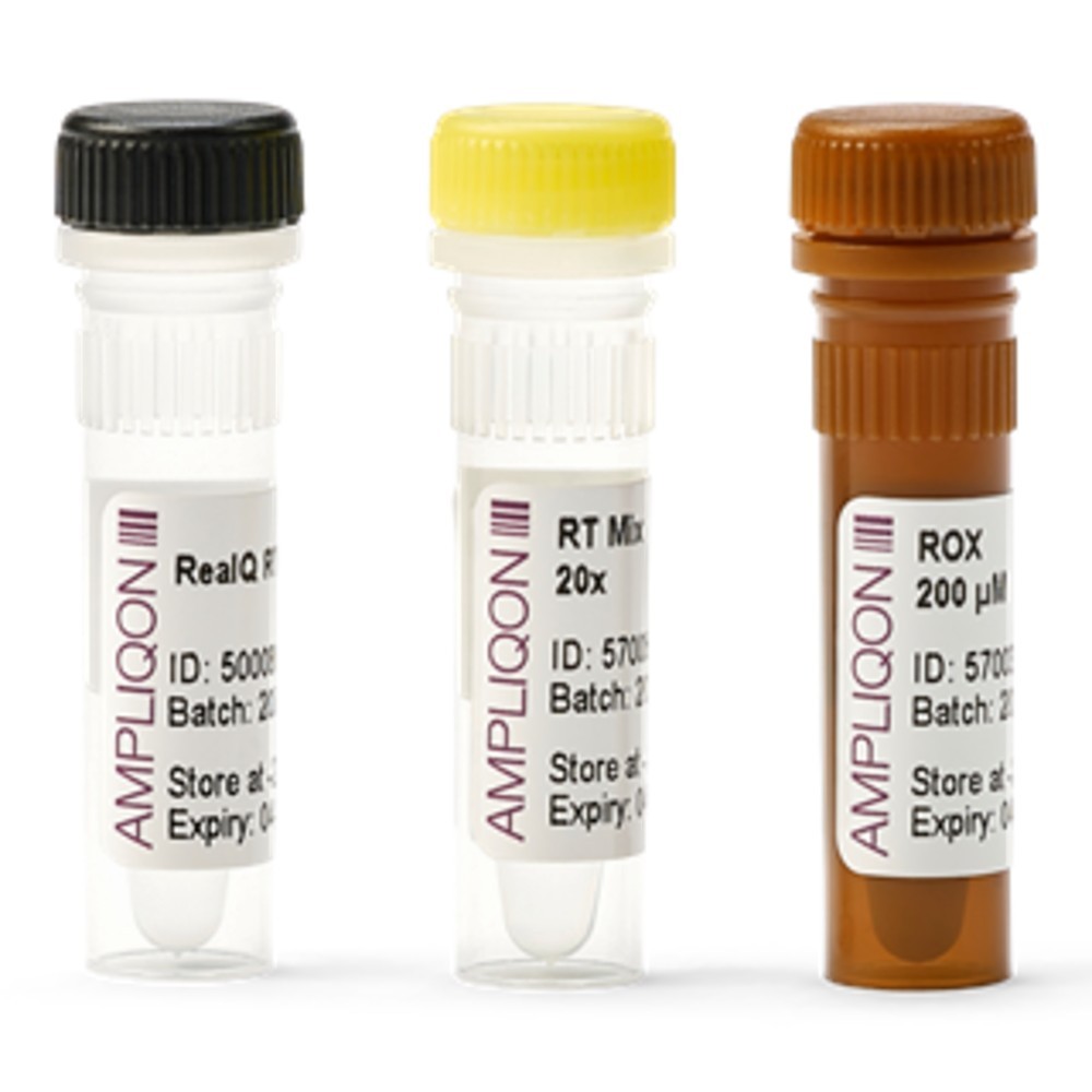 Kit  RT-PCR RealQ Virus One-Step 