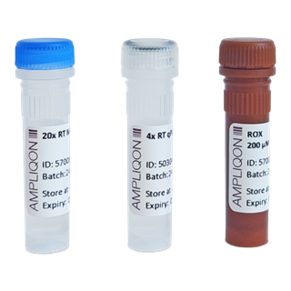 kit Ampliqon One-step RT-PCR
