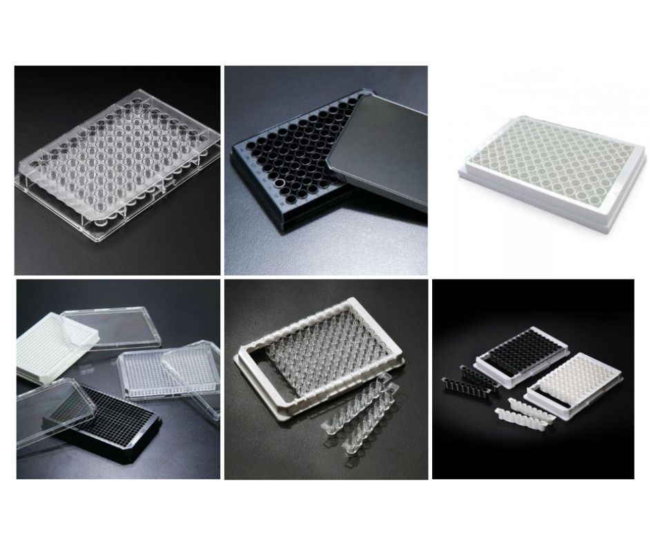 Placas para teste de Elisa